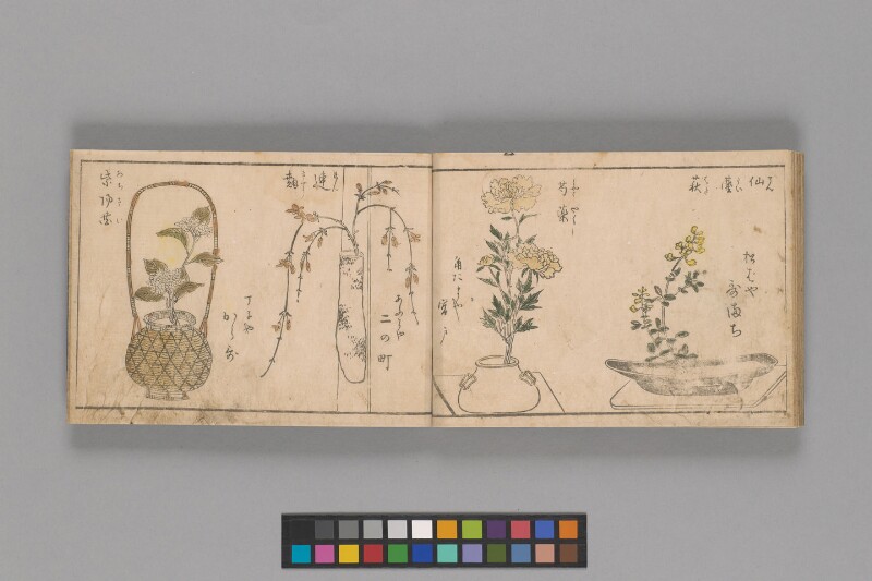 華すまひ - ページ 22